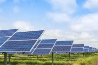 Delaware farmers are turning fields into solar farms that could cut power bills 10% to 20%