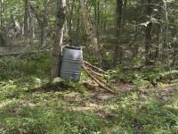 I hired a Maine guide in the past. Here’s what I’m learning about bear baiting on your own.