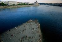 Western Europe Sets New Temperature Record as Heat Waves, Drought and Wildfires Pummel the Region