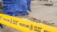 Maharashtra: 3 schoolgirls die of snakebite at Gadchiroli ashram school