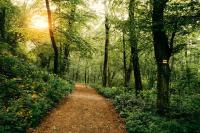 In Illinois, Cook County forest preserve workers authorize strike over 'slap in the face' offer