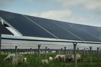Believe it or not, Trump is aiding a renewable energy golden age