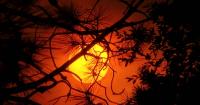 Weather Forecast: Elevated fire danger Monday