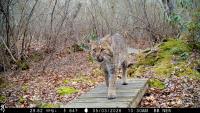How volunteers and researchers at URI work together to better understand our environment