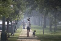 Wildfire Smoke Drove Most Unhealthy Air Days During U.S. Pregnancies by 2019, National Study Finds