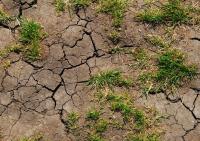 Kazakh Environmental Group Proposes Trials of Chinese Land-Restoration Technologies