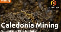 Caledonia Mining's Q2 gold output jumps 18%. CEO says it's all...