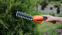 Gardening expert explains rules on trimming a neighbour’s overhanging hedge