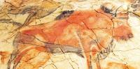 Can DNA from cave paintings tell us who the artists were?