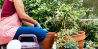 Why You Should Stop Gardening at 11 A.M. This Month
