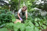 Planting native species is gaining popularity. Here’s how Jersey Shore gardeners do it.