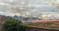 Farmer suspects TikTok trend sparked fire that destroyed 60-acre barley field