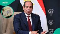 Egypt lists documents foreigners must present before bringing pets into the country