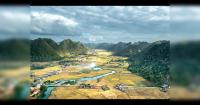 Vietnam tourism authority partners with VFS Global to promote destination in India