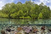 The Changing Course of Climate Change