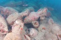 Fishermen find ancient Roman shipwreck off coast of Sicily