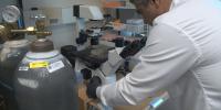 MUSC researcher discovers kidney cancer vulnerability, secures $3M federal grant