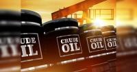 India's Russian crude imports hit record for second straight month
