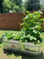 MGHC 3rd Saturday Class "Preparing A Cool Weather Garden" Is Aug. 15