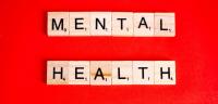 Dominica records 398 acute psychiatric admissions amid mental health concerns