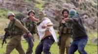 The West Bank: Six Settler Attacks on Palestinians Every Single Day.