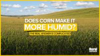 Is Nebraska more humid because of all that corn? The answer is complicated