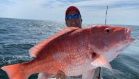 Louisiana declares emergency to halt red snapper season in Gulf of America