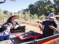 California drew the line on regenerative agriculture. Farmers are making sense of it