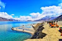 Ladakh’s tourist arrivals cross record levels to welcome 1,05,046 tourists in July 2026