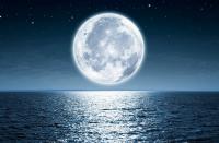 MoonLake’s nanobody boosts all clinical endpoints in phase 3 psoriatic arthritis trial