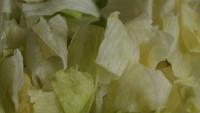 At least 10 cyclosporiasis cases in Maine tied to multistate iceberg lettuce recall