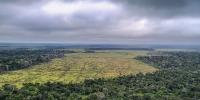 Devastation could disrupt world’s largest “rain machine:” the Amazon