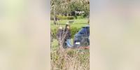 Lionel Messi attends father's funeral in Argentina