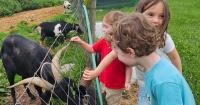 Namaste Montessori Switches to a Teacher Led Non-Profit Model
