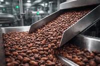 Faba bean cocoa alternative moves towards industrial scale