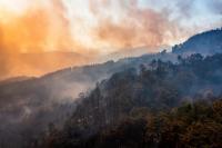 Wildfire Smoke Makes Up Growing Share of Prenatal Air Pollution Exposure, U.S. Study Finds