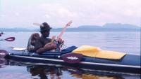 'They would come in with a chord change': Composer Jim Nollman has collaborated with turkeys, kangaroo rats and whales. Now he's dropping 'Orcas' Greatest Hits.'
