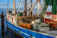 Louisiana cuts red snapper fishing season short with emergency declaration