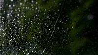 Central Ohio storms leave thousands without power