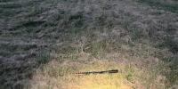 Man arrested after shooting rifle near Belgrade camp, officials say
