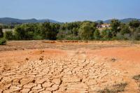 Europe’s Heat and Drought Threaten to Erase Much of EU’s 2026 Economic Growth