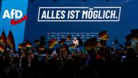 AfD Enters September Elections with Commanding Leads in Eastern Germany