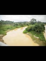 We cannot drink gold: The price Ghana is paying for galamsey