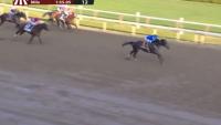 Kentucky Derby winner and Horse of the Year bags $1 million Whitney Stakes prize with dominant Saratoga win