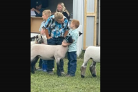 Michigan 4-H urges respectful conduct in animal project competitions