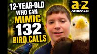 He Mastered 132 Bird Calls by Age 12. Here’s the Science Behind His Skill