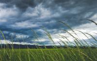 Northern Illinois Could See a Rare and Dangerous Storm Tonight