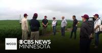Taiwanese trade delegates visit Minnesota soybean farm