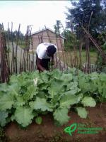 How Permagardens Are Helping African Families Grow Their Own Food