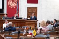 Interim Report: Joint Committee on Government Organization